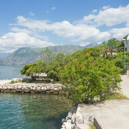 Villa Iva Kotor Exterior foto